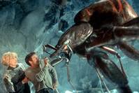 Кадр Атака пауков