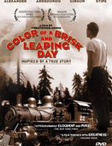 Цвет мерцающего дня