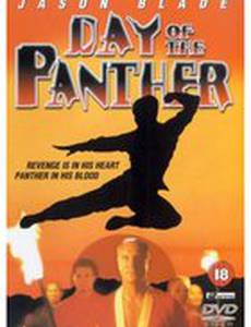 День пантеры