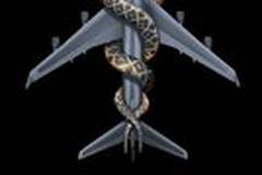 Змеиный полет