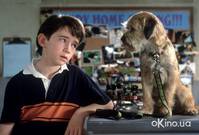 Кадр Лохматый спецназ