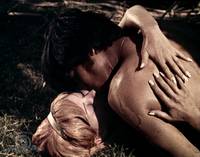 Кадр The Young Animals