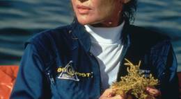 Кадр из фильма "Подводная Одиссея" - 2