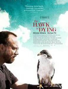 Ястреб умирает