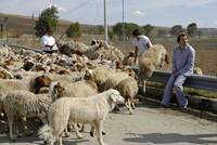 Кадр Мария, ему не нравится еда