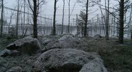 Кадр из фильма "Навстречу вечности" - 1