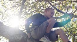 Кадр из фильма "Вес слонов" - 2