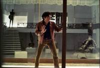 Кадр Птица с хрустальным оперением