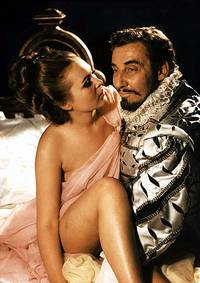 Кадр Свадьбы пана Вока