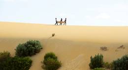 Кадр из фильма "Послесвадебный разгром" - 2