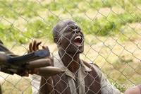 Кадр Кровавый алмаз