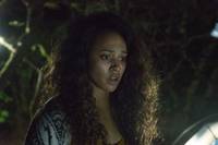 Кадр Ведьма из Блэр: Новая глава