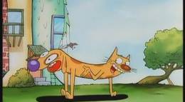 Кадр из фильма "Котопес" - 1