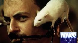 Кадр из фильма "Бездна" - 2