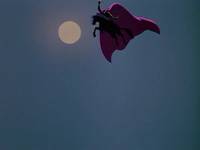 Кадр Приключения Икабода и мистера Тоада