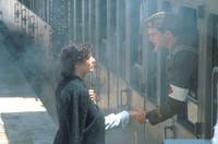 Кадр В любви и войне