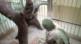 Кадр из фильма "Невероятный Халк" - 1