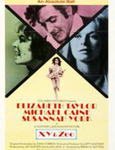 Зи и компания