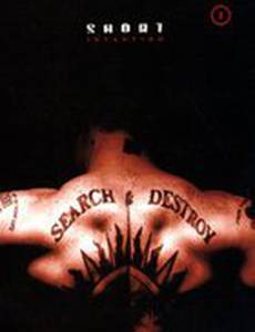 Большая история