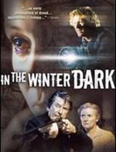 В зимней тьме