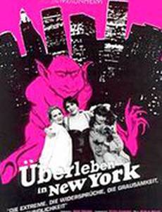 Выживание в Нью-Йорке