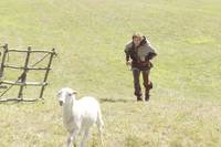 Кадр Однажды в сказке