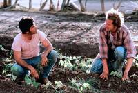 Кадр Война на бобовом поле Милагро