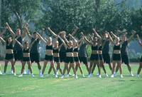 Кадр Добейся успеха снова! (видео)