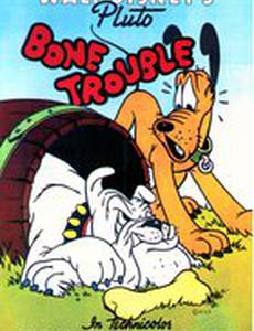 Неприятности из-за кости