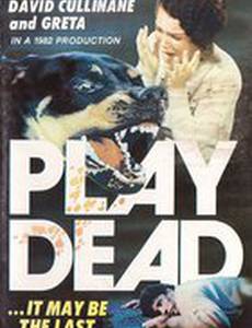 Play Dead (видео)