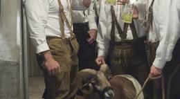 Кадр из фильма "Пивной бум" - 1