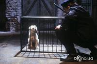 Кадр Мой братик – собачка