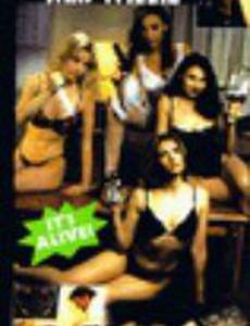 Revenge of Mr. Willie