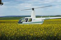 Кадр Дочери Маклеода