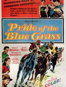 Битва за любимую