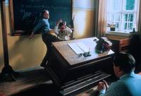 Кадр Цветения пора