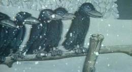 Кадр из фильма "Крабат – ученик колдуна" - 2