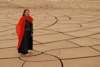 Кадр Das Lied von den zwei Pferden