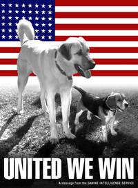 Постер Кошки против собак