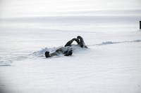 Кадр Последняя зима