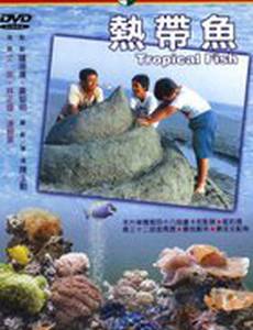 Тропические рыбы