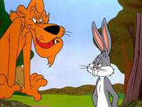 Кадр Кроличья родня