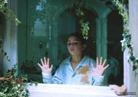 Кадр Хрупкость