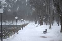 Кадр Ева: Искусственный разум