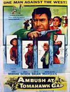 Засада в Томагавк Гэп