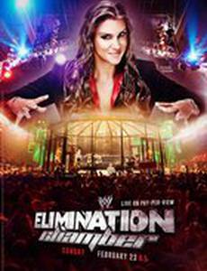 WWE Камера ликвидации