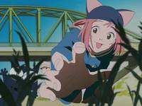 Кадр Фури-Кури