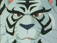 Кадр Чудотворные рыцари