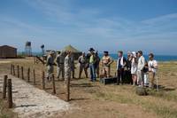 Кадр Солдаты удачи