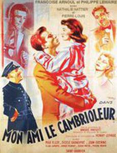 Мой друг – вор